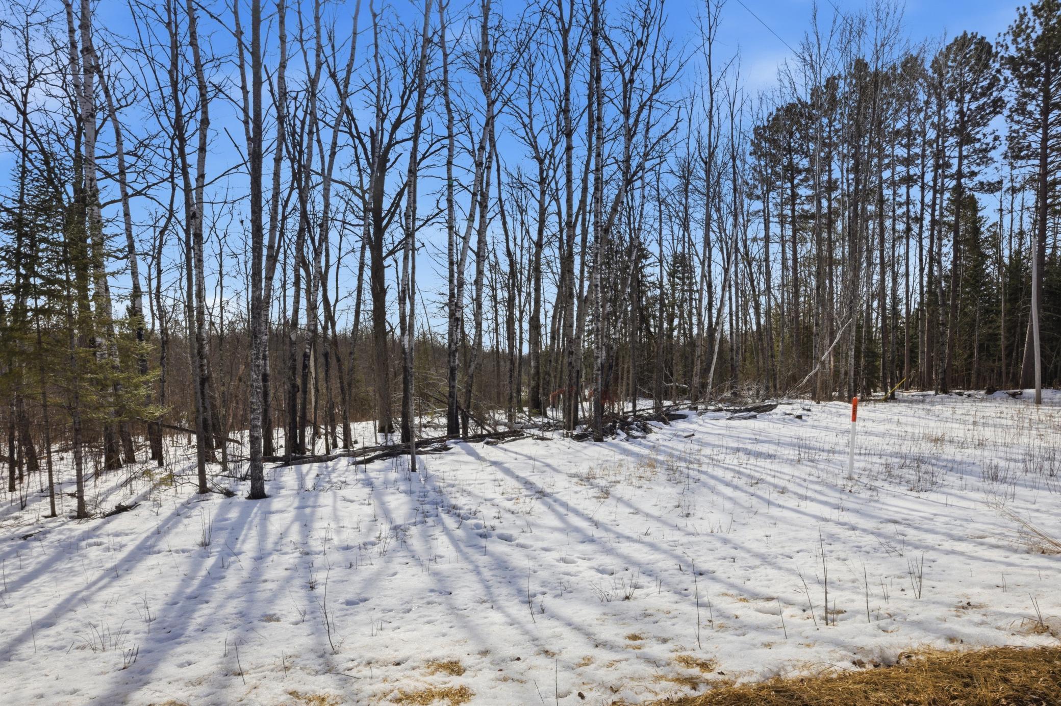 4416 County Road 1 Littlefork, MN 56653 - Photo 16 of 31