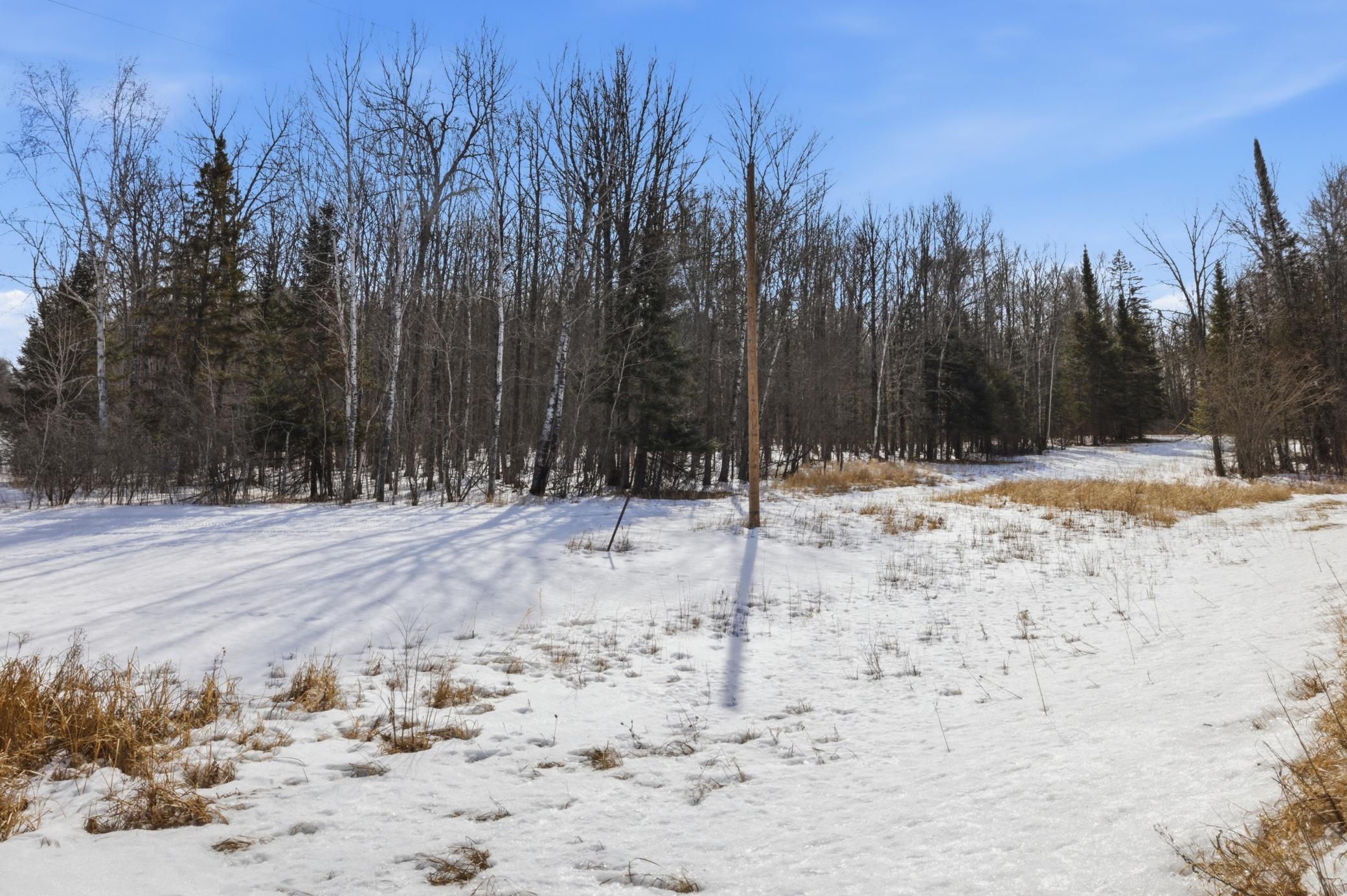 4416 County Road 1 Littlefork, MN 56653 - Photo 21 of 31