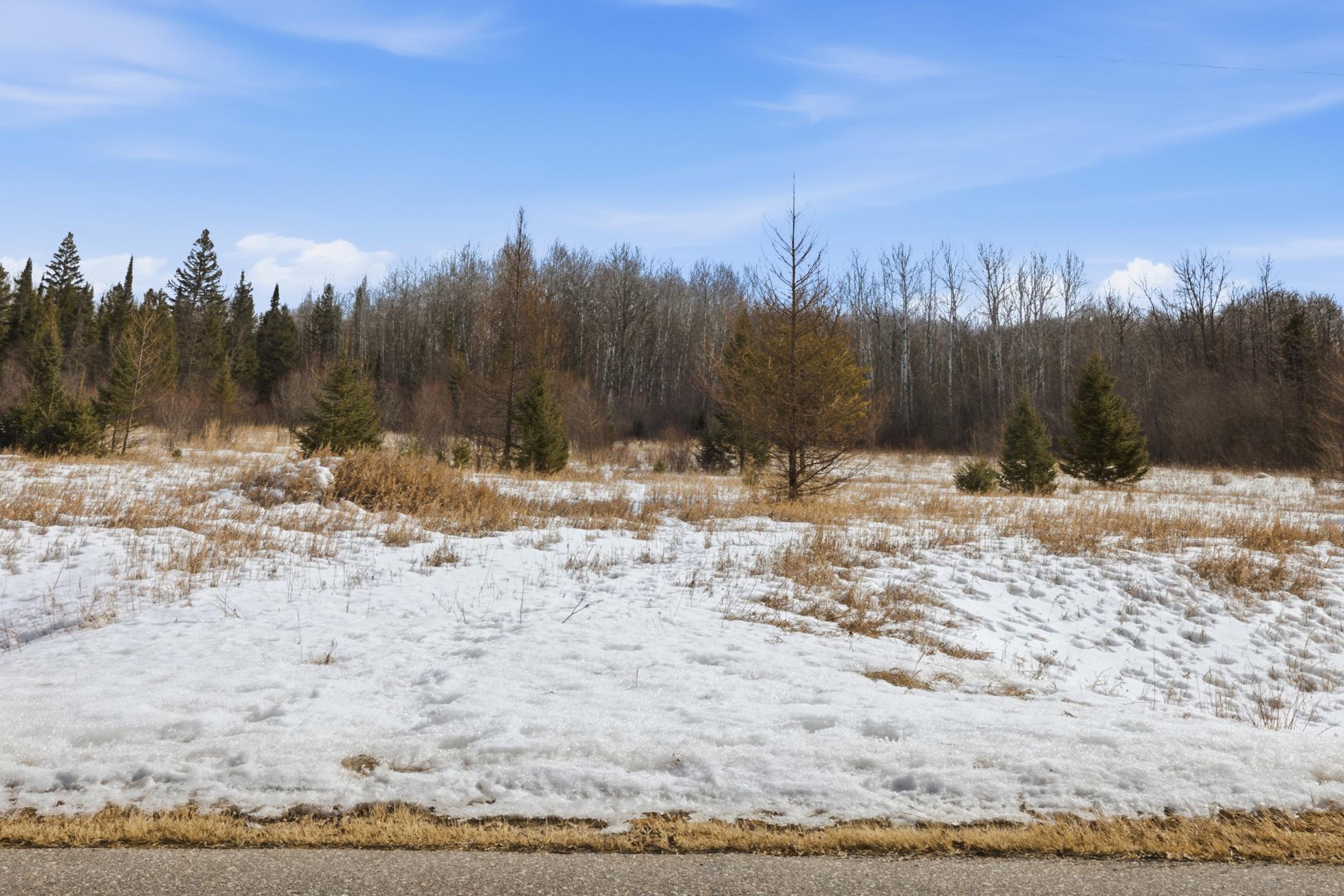 4416 County Road 1 Littlefork, MN 56653 - Photo 26 of 31