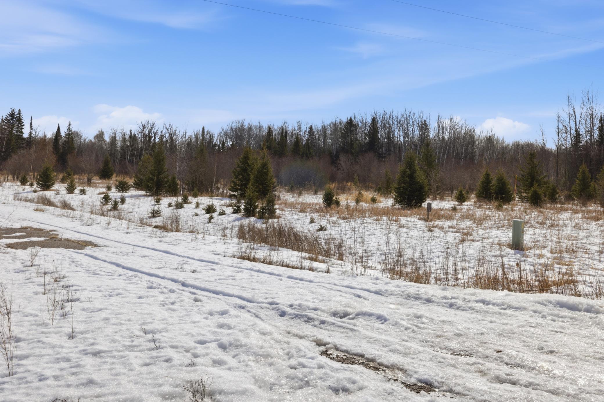 4416 County Road 1 Littlefork, MN 56653 - Photo 27 of 31