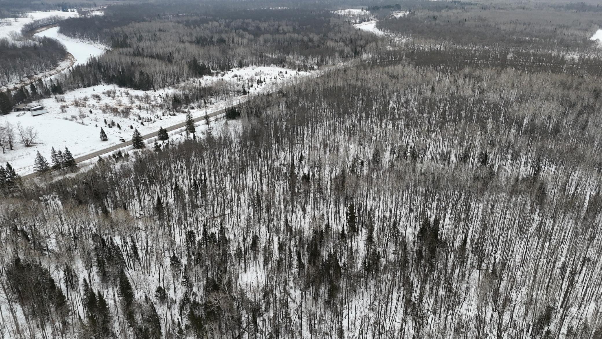4416 County Road 1 Littlefork, MN 56653 - Photo 4 of 31