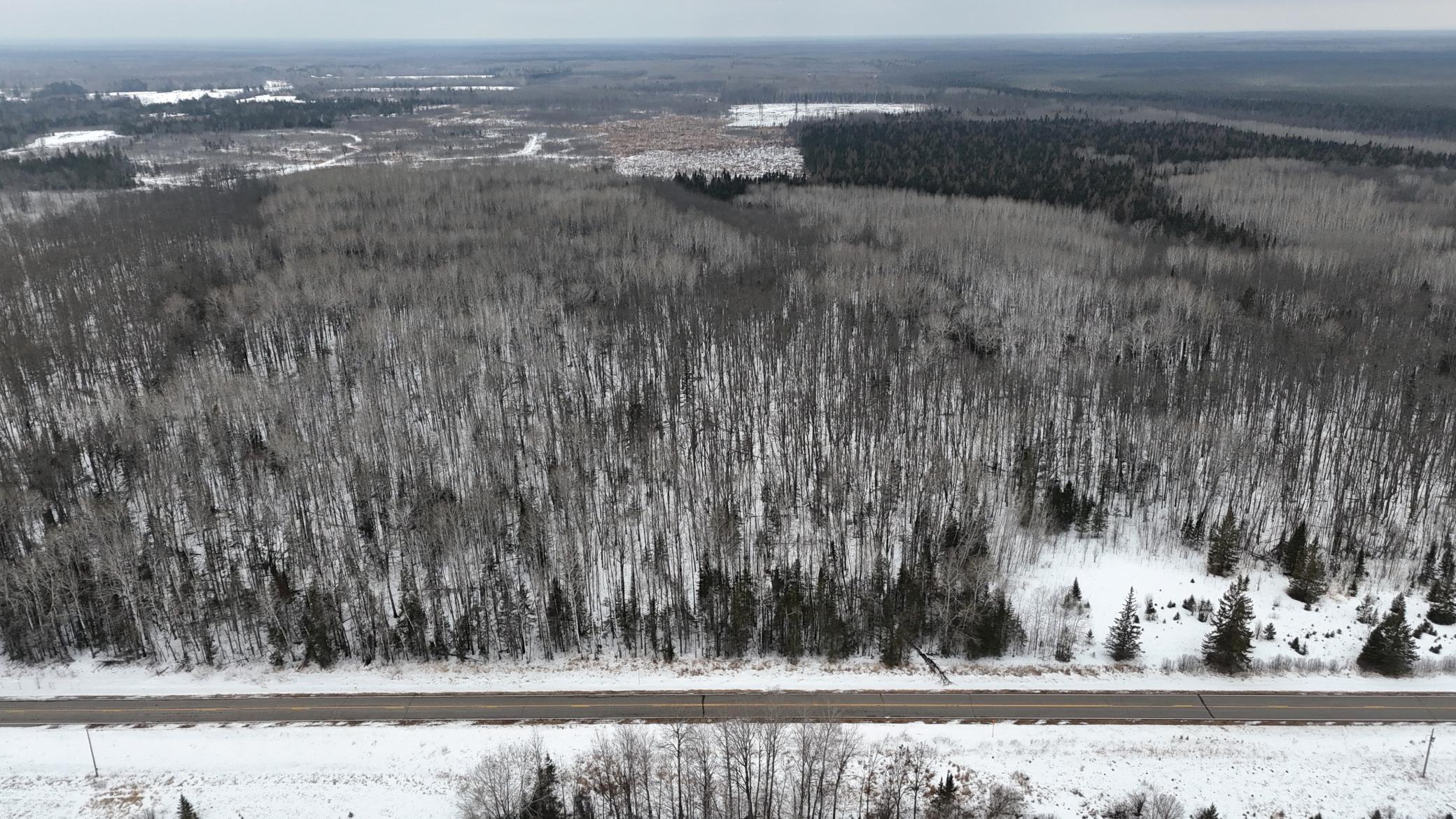 4416 County Road 1 Littlefork, MN 56653 - Photo 5 of 31