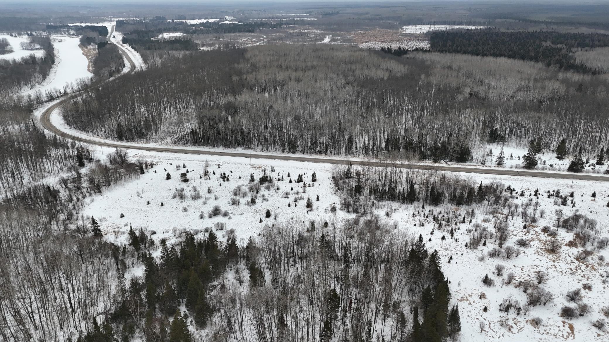 4416 County Road 1 Littlefork, MN 56653 - Photo 6 of 31