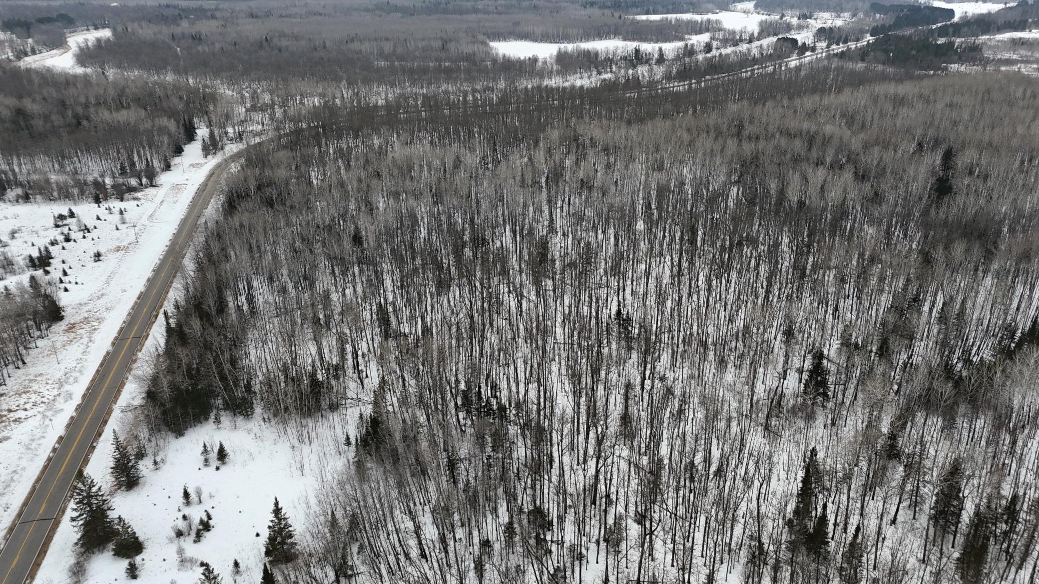 4416 County Road 1 Littlefork, MN 56653 - Photo 10 of 31