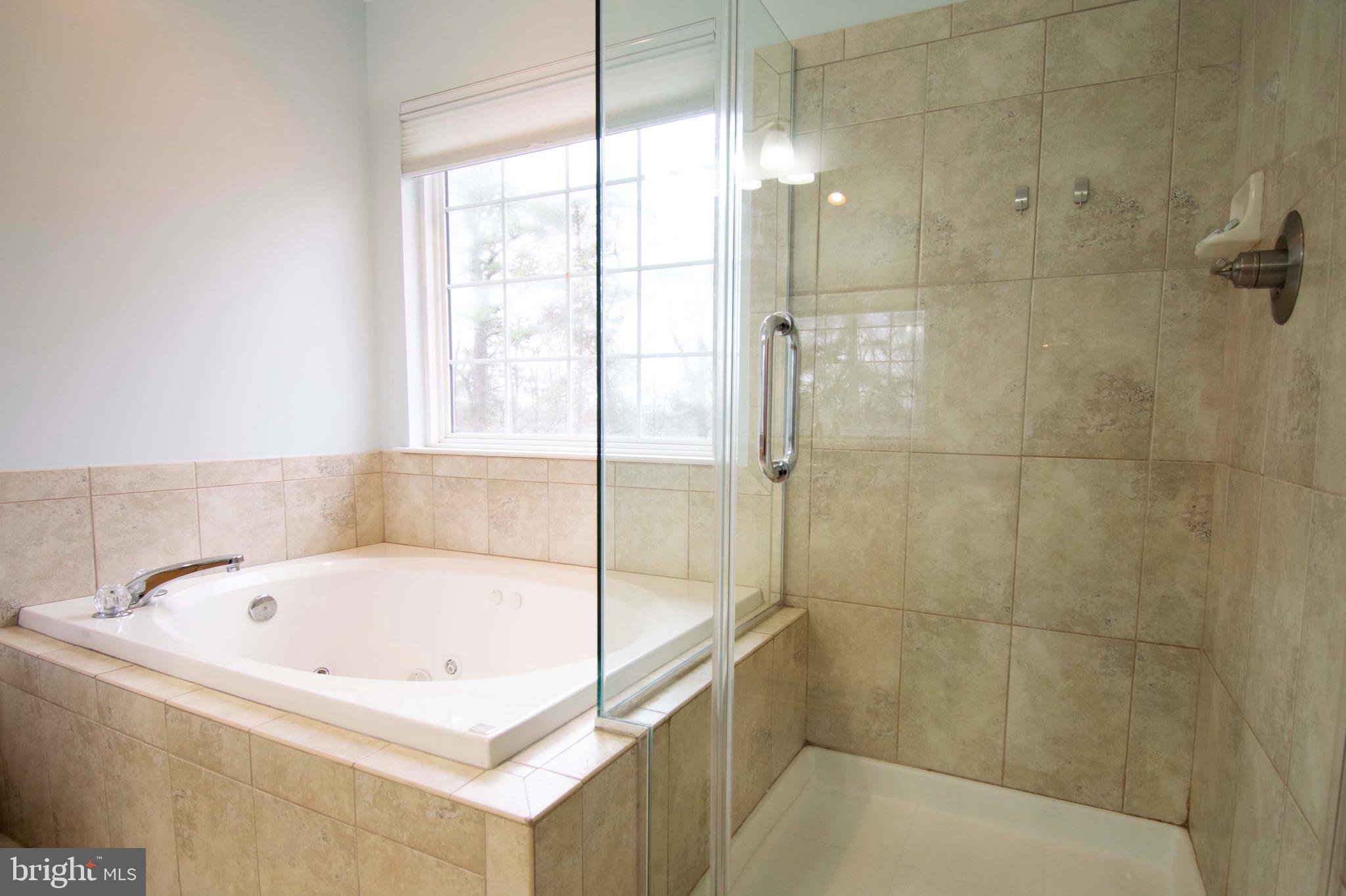 2556 Running Wolf Trail Odenton, MD 21113 - Photo 12 of 36 Relax in jetted tub or separate shower