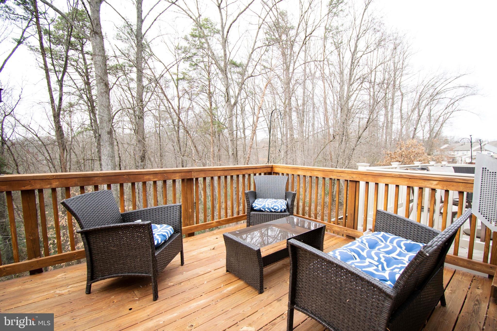 2556 Running Wolf Trail Odenton, MD 21113 - Photo 22 of 36 With Friends!