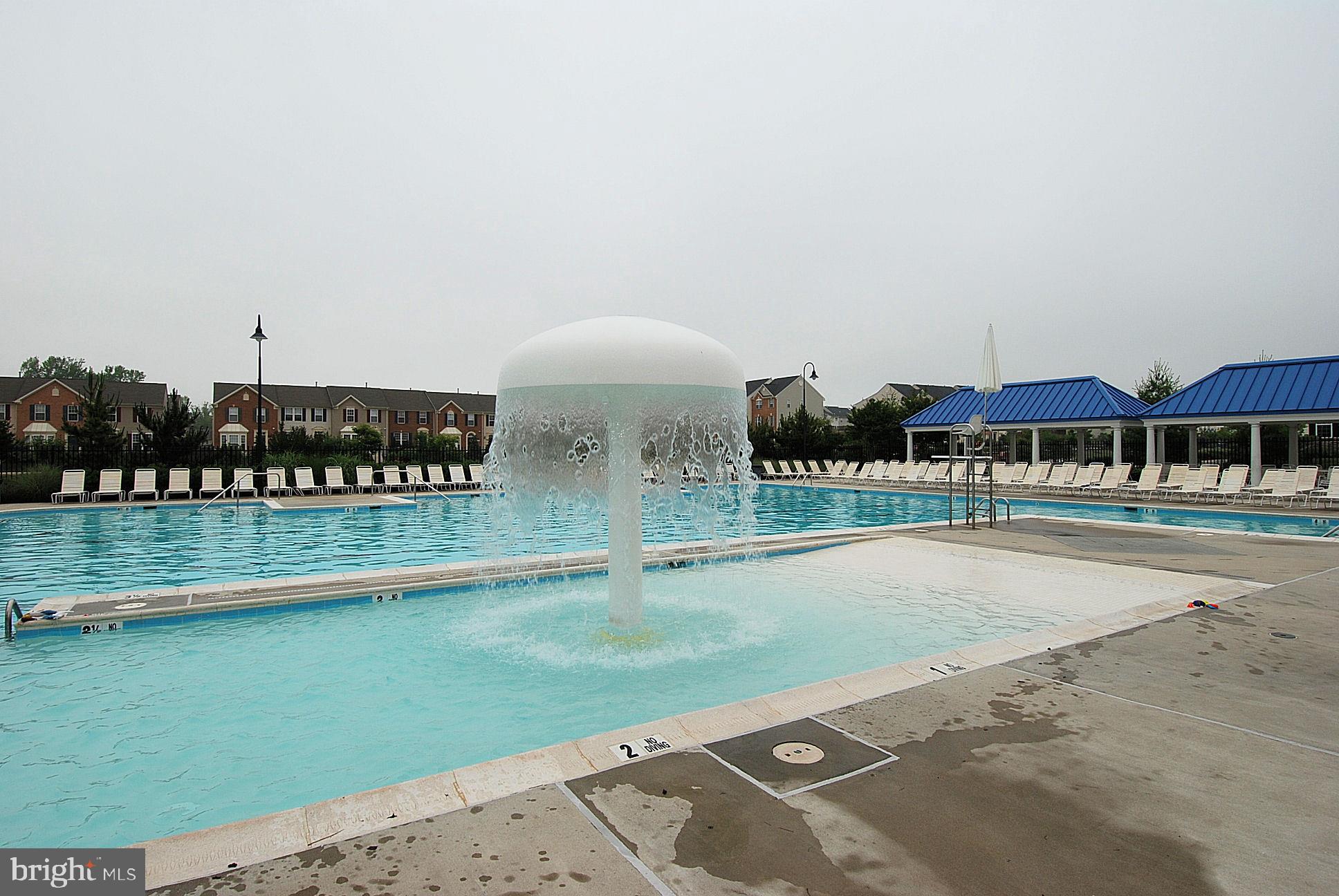 2556 Running Wolf Trail Odenton, MD 21113 - Photo 32 of 36 Piney Orchard mushroom pool
