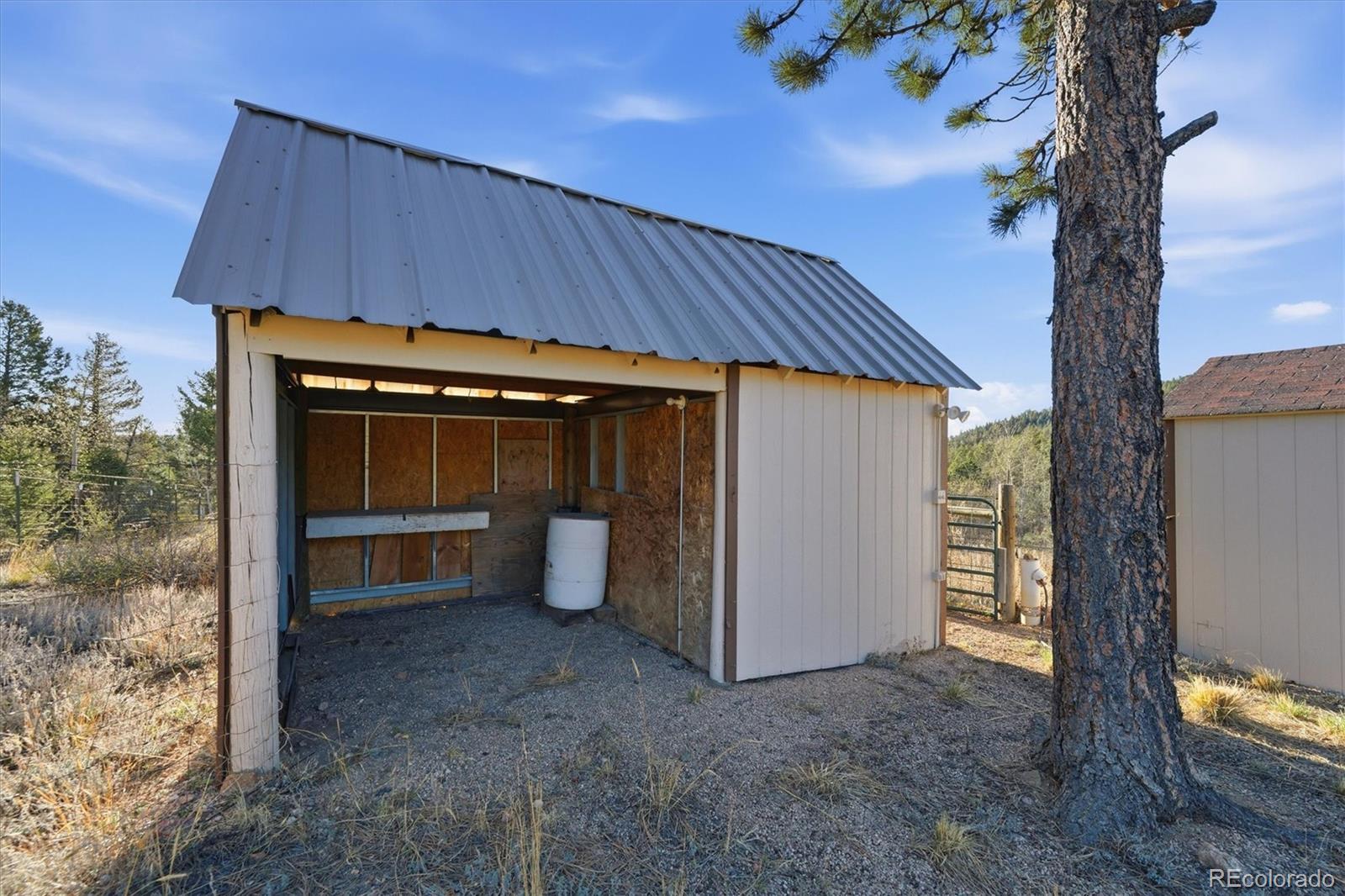 33799 Warren Road Pine, CO 80470 - Photo 26 of 50 a view of a house with a backyard and a tree