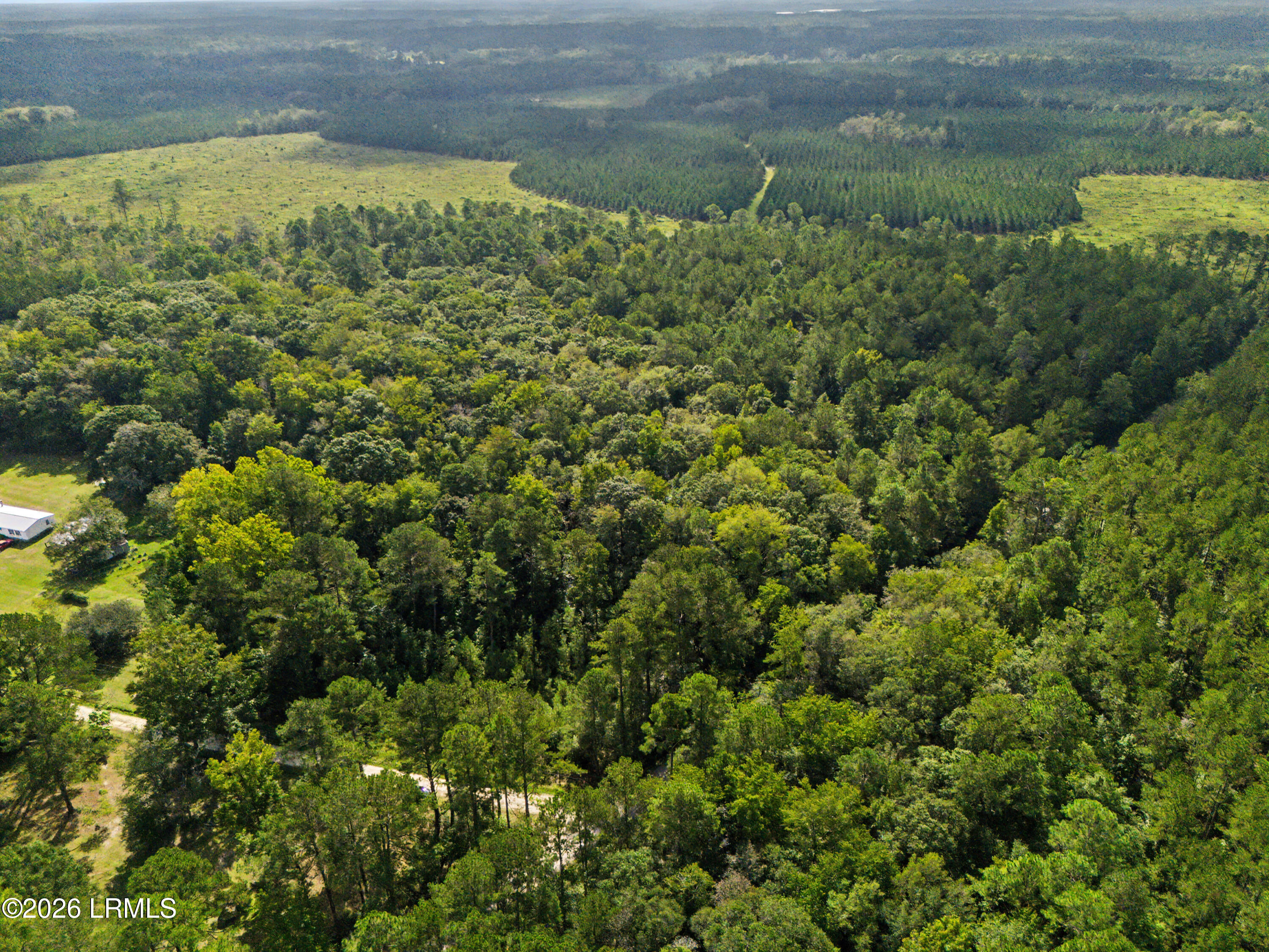 0 Tree Farm Road Walterboro, SC 29488 - Photo 24 of 30 DJI_20260921230339_0331_D