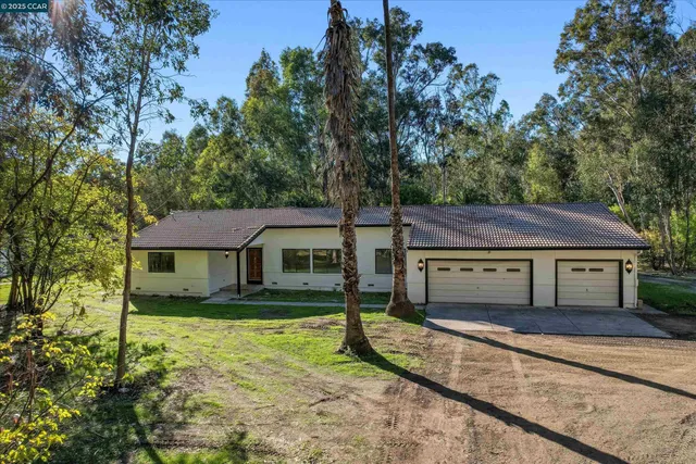 a house that has a tree in it