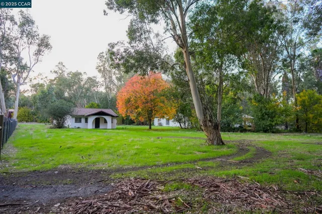 a view of a backyard with large trees