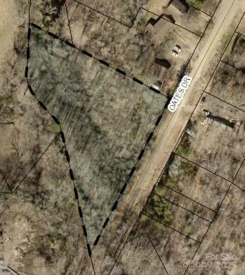 a view of a yard with a tree