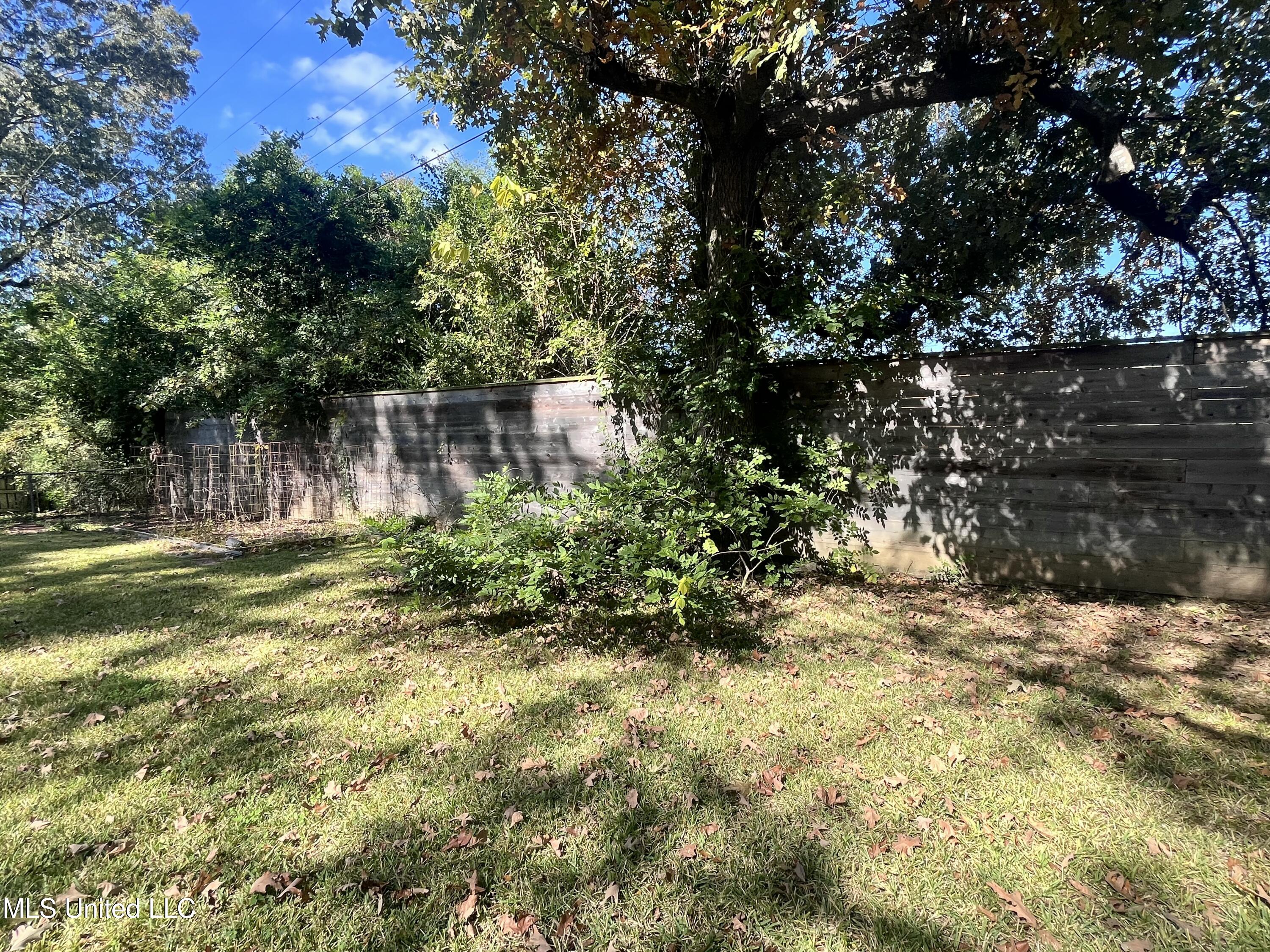 835 Post Road Clinton, MS 39056 - Photo 89 of 100 IMG_9874