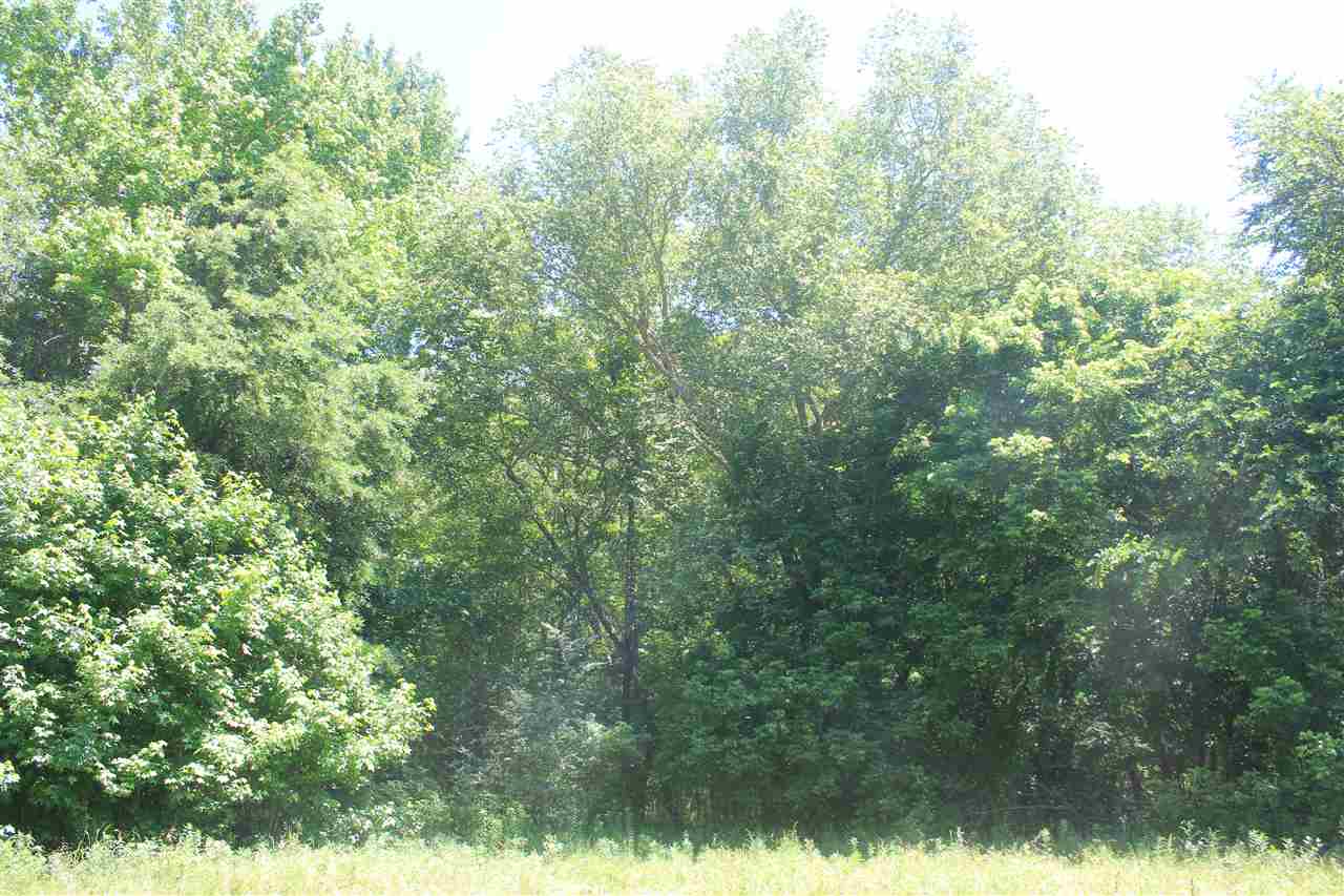 395 North Red Banks Road Holly Springs, MS 38635 - Photo 2 of 25 Gallery Image 2