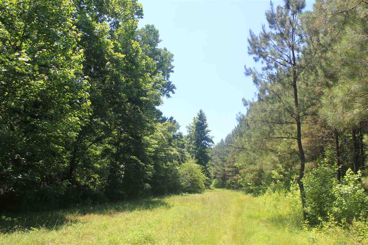 395 North Red Banks Road Holly Springs, MS 38635 - Photo 12 of 25 Gallery Image 12