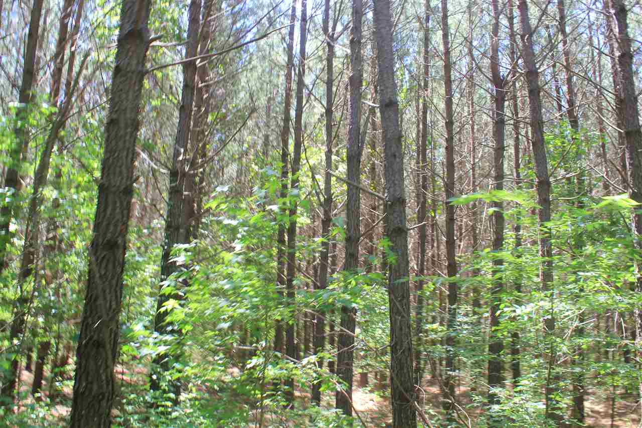 395 North Red Banks Road Holly Springs, MS 38635 - Photo 14 of 25 Gallery Image 14