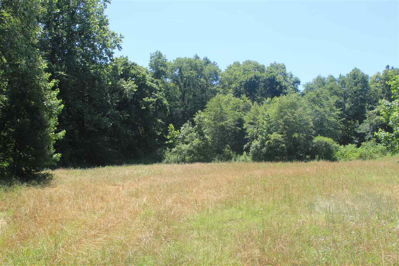 395 North Red Banks Road Holly Springs, MS 38635 - Photo 20 of 25 Gallery Image 20