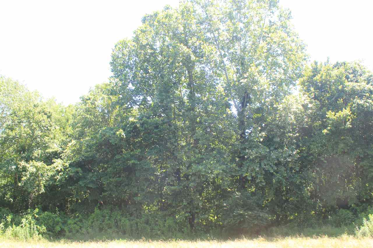 395 North Red Banks Road Holly Springs, MS 38635 - Photo 21 of 25 Gallery Image 21