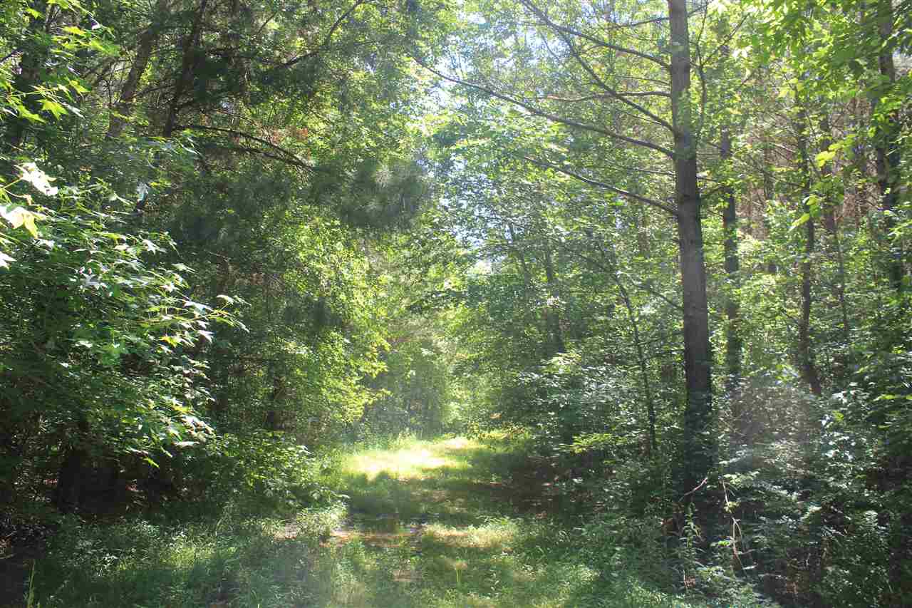 395 North Red Banks Road Holly Springs, MS 38635 - Photo 4 of 25 Gallery Image 4