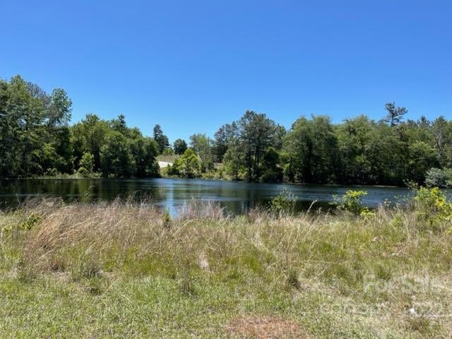 0 Bennett Road Pageland, SC 29728 - Photo 11 of 25 Gallery Image 11