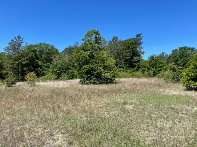 0 Bennett Road Pageland, SC 29728 - Photo 12 of 25 Gallery Image 12