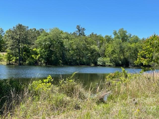 0 Bennett Road Pageland, SC 29728 - Photo 13 of 25 Gallery Image 13