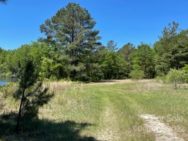 0 Bennett Road Pageland, SC 29728 - Photo 15 of 25 Gallery Image 15