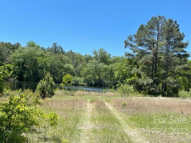 0 Bennett Road Pageland, SC 29728 - Photo 16 of 25 Gallery Image 16