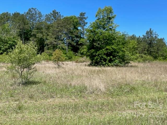 0 Bennett Road Pageland, SC 29728 - Photo 17 of 25 Gallery Image 17