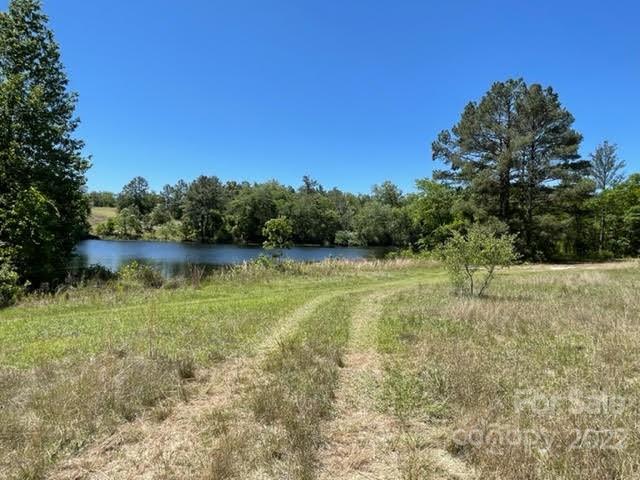 0 Bennett Road Pageland, SC 29728 - Photo 19 of 25 Gallery Image 19