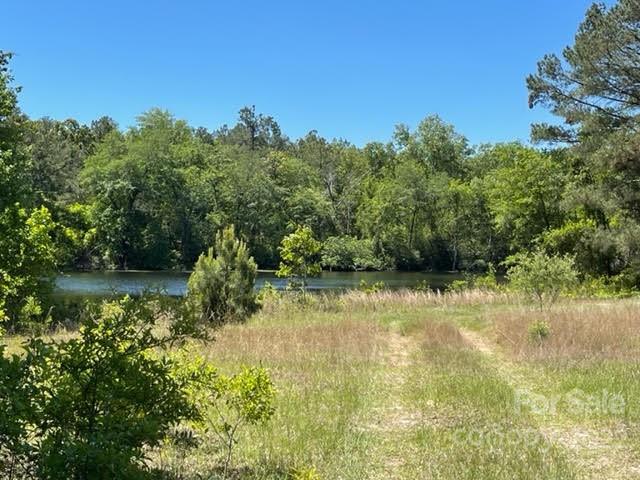0 Bennett Road Pageland, SC 29728 - Photo 20 of 25 Gallery Image 20