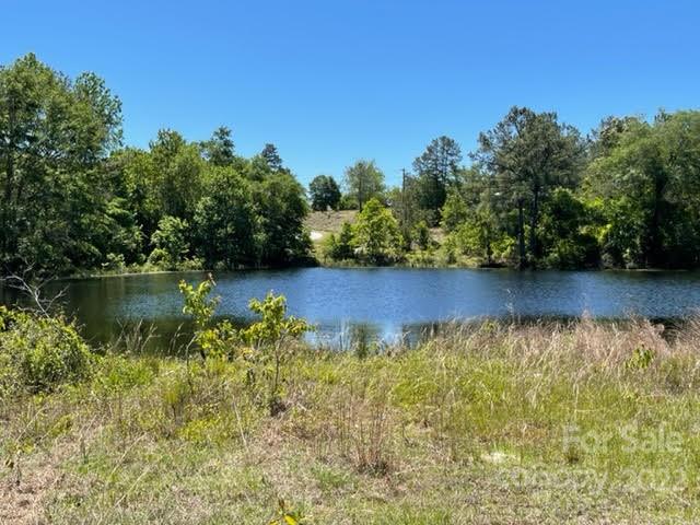 0 Bennett Road Pageland, SC 29728 - Photo 2 of 25 Gallery Image 2