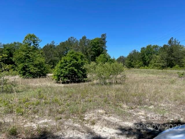 0 Bennett Road Pageland, SC 29728 - Photo 21 of 25 Gallery Image 21