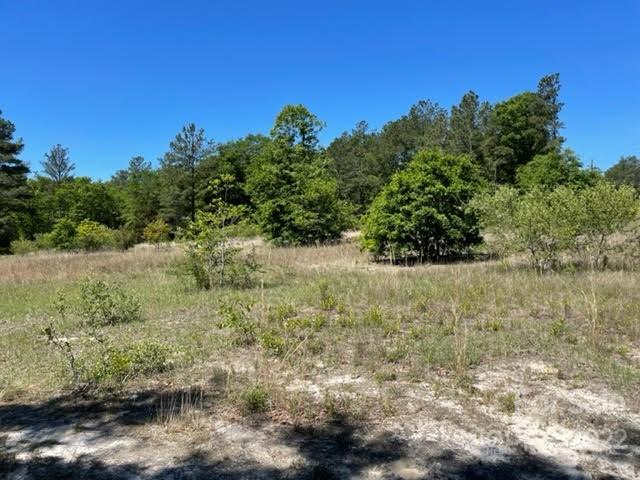 0 Bennett Road Pageland, SC 29728 - Photo 22 of 25 Gallery Image 22