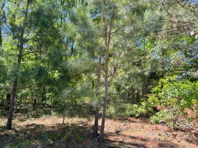 0 Bennett Road Pageland, SC 29728 - Photo 23 of 25 Gallery Image 23