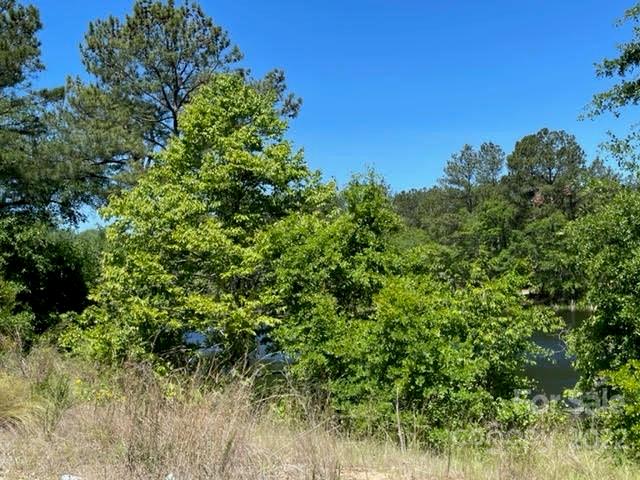 0 Bennett Road Pageland, SC 29728 - Photo 25 of 25 Gallery Image 25