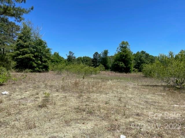 0 Bennett Road Pageland, SC 29728 - Photo 3 of 25 Gallery Image 3