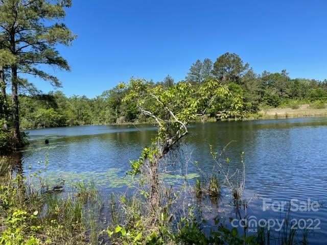 0 Bennett Road Pageland, SC 29728 - Photo 4 of 25 Gallery Image 4
