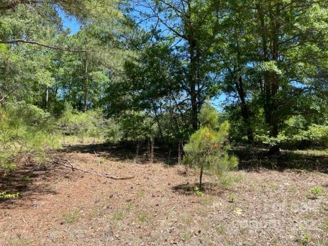 0 Bennett Road Pageland, SC 29728 - Photo 6 of 25 Gallery Image 6