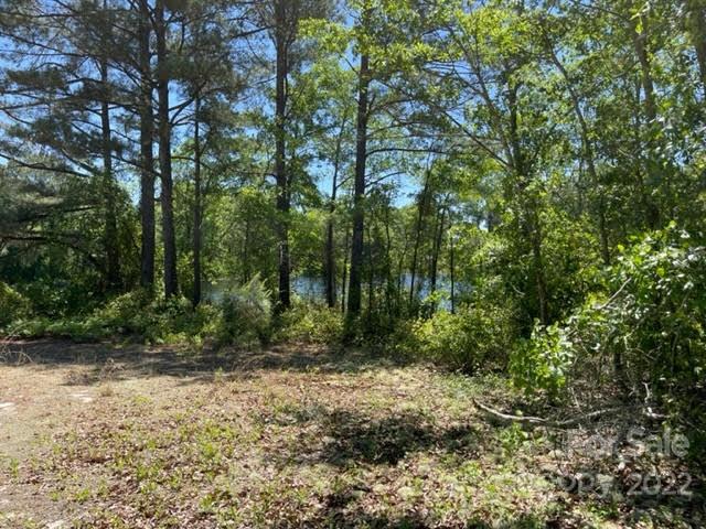 0 Bennett Road Pageland, SC 29728 - Photo 9 of 25 Gallery Image 9