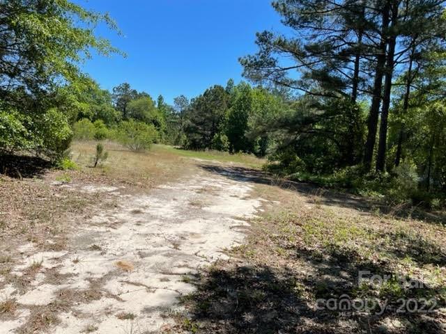 0 Bennett Road Pageland, SC 29728 - Photo 10 of 25 Gallery Image 10