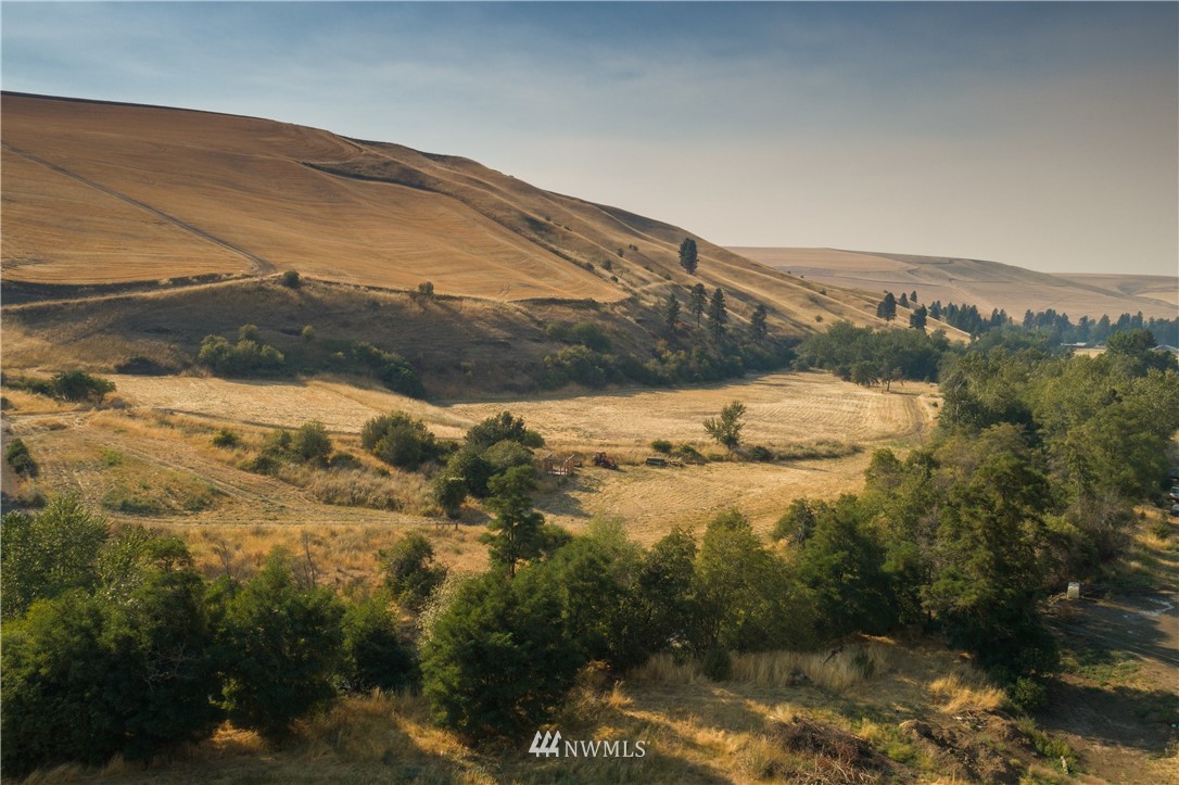 0 Pettyjohn Grade Road Dayton, WA 99328 - Photo 4 of 7 Gallery Image 4