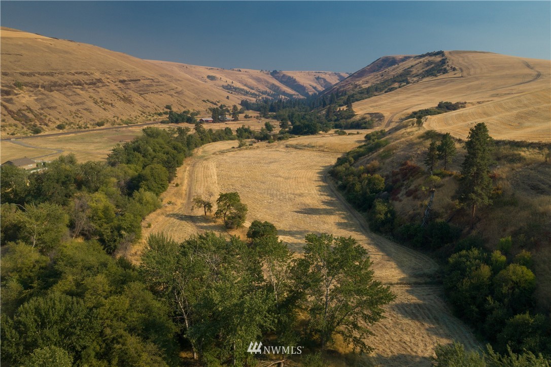 0 Pettyjohn Grade Road Dayton, WA 99328 - Photo 5 of 7 Gallery Image 5
