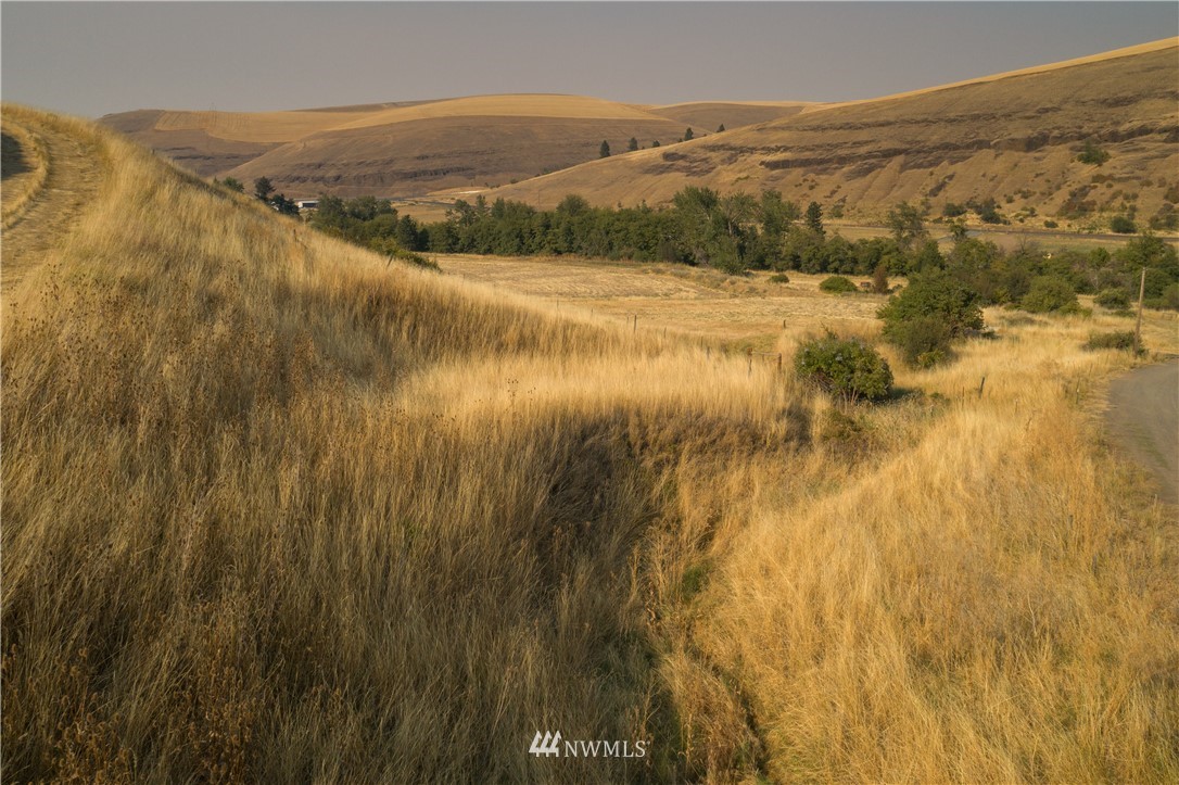 0 Pettyjohn Grade Road Dayton, WA 99328 - Photo 7 of 7 Gallery Image 7