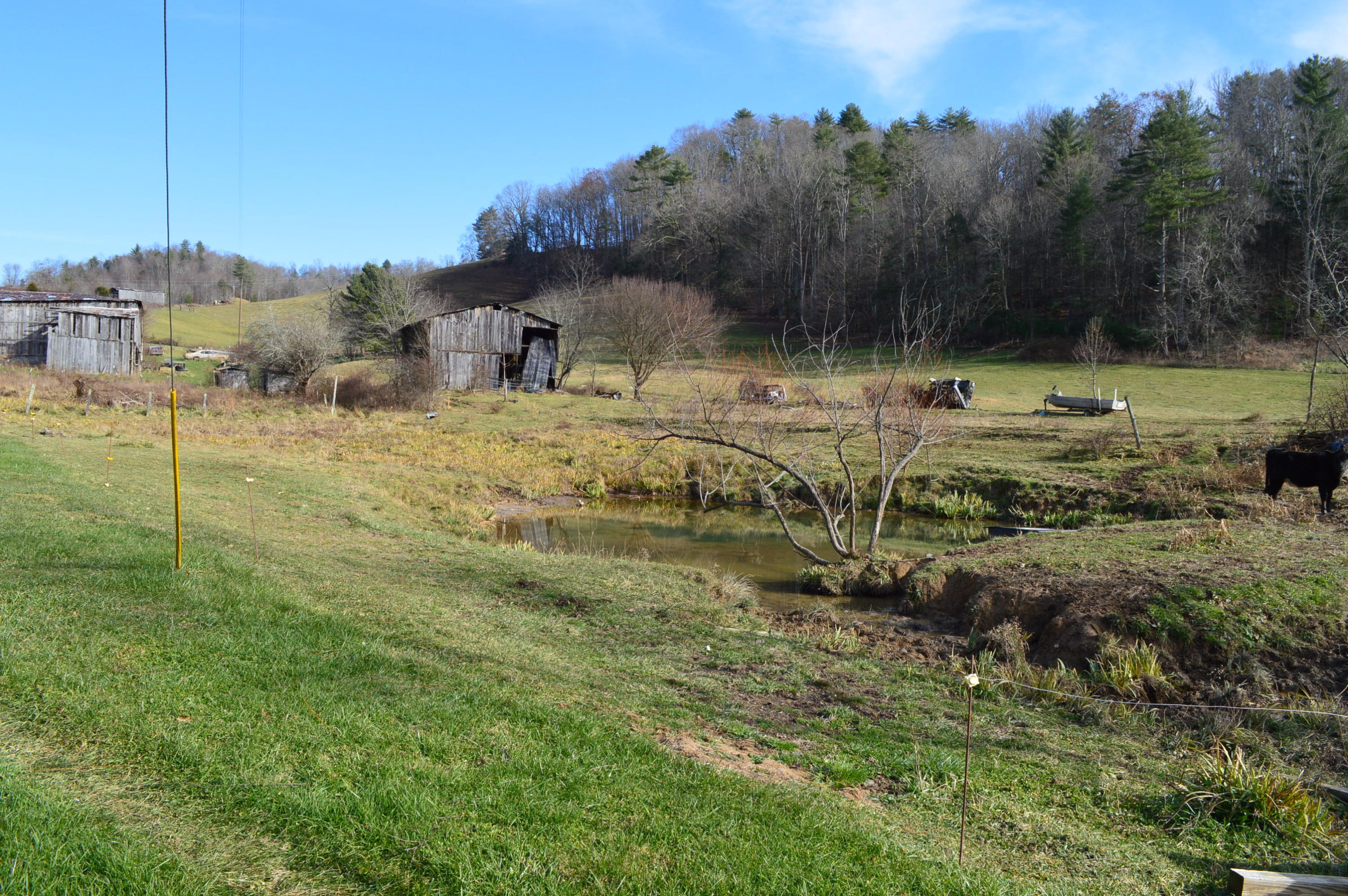 3699 Buntontown Road Butler, TN 37640 - Photo 3 of 21 DSC_0698