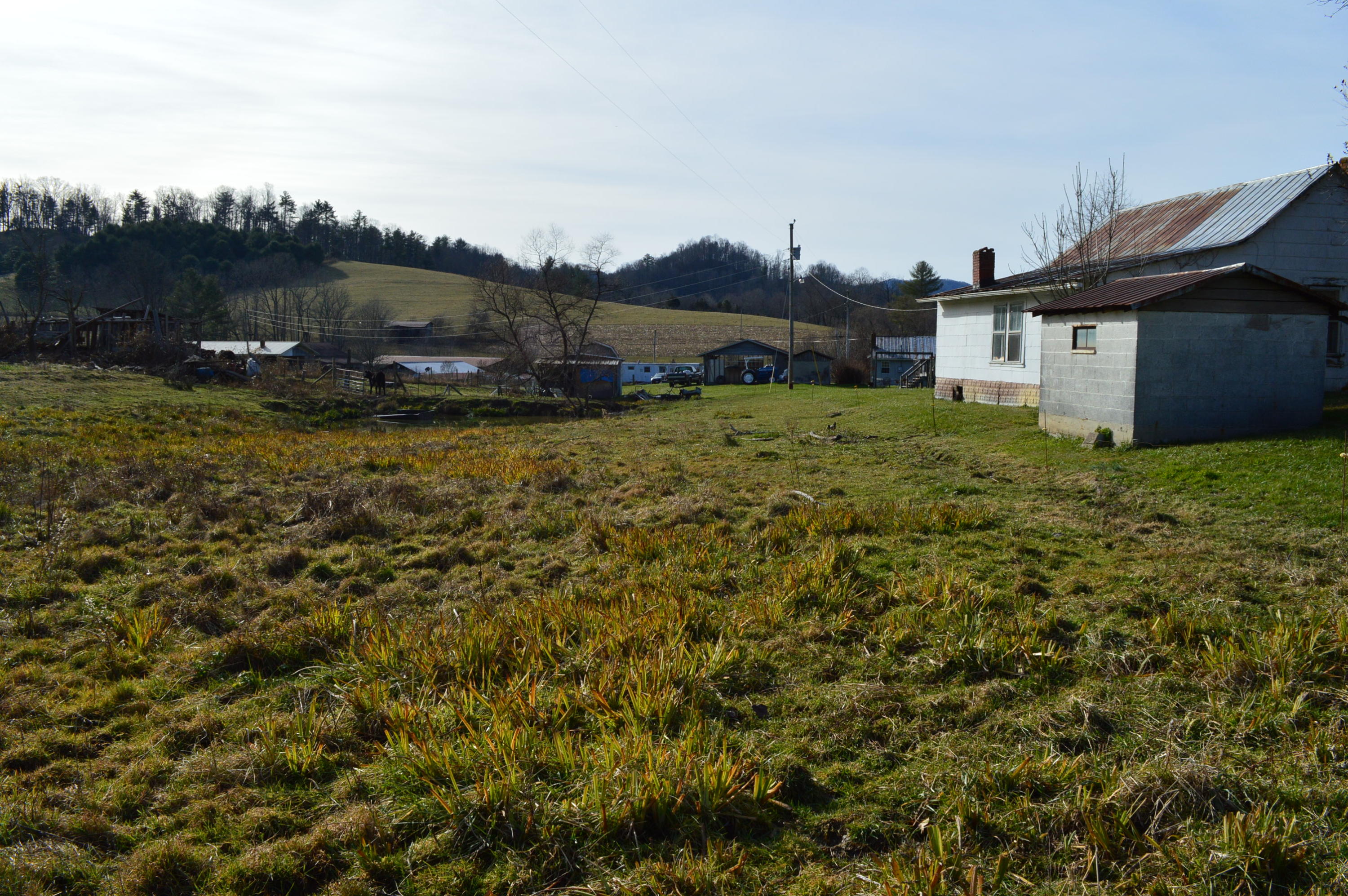 3699 Buntontown Road Butler, TN 37640 - Photo 8 of 21 DSC_0703