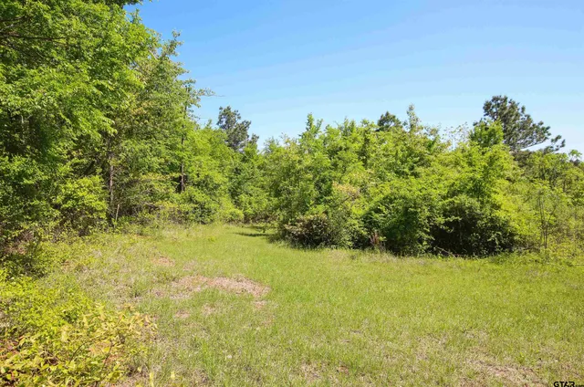 a view of yard with green space