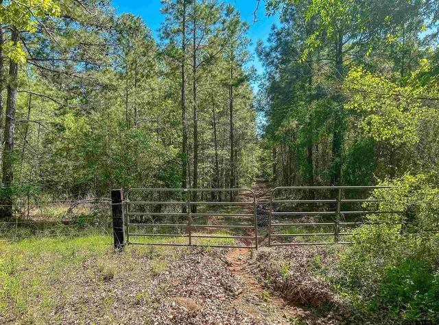 $425,000 | 4814 Ben Wheeler Tx 75754, Ben Wheeler, TX 75754