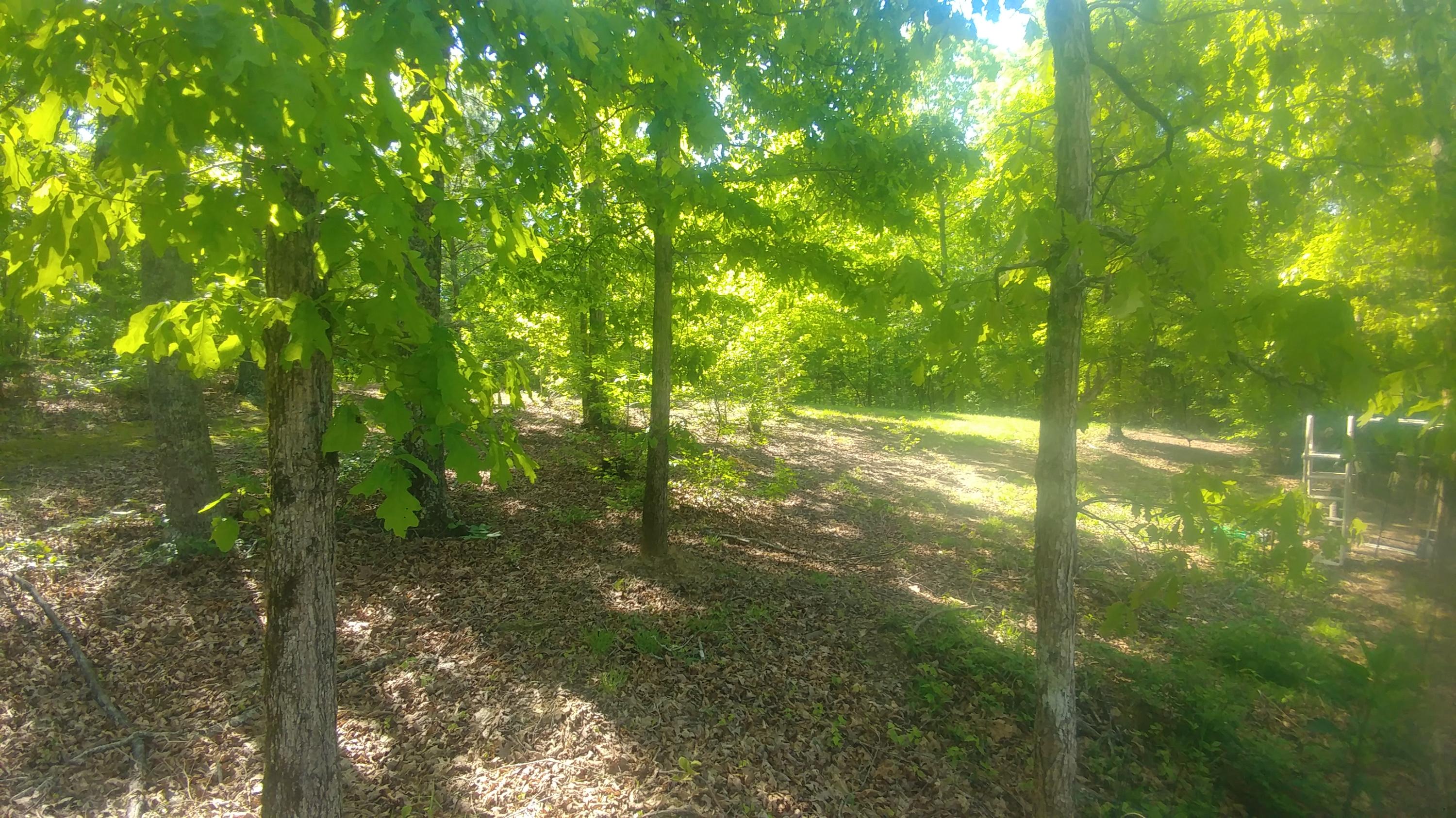 678 Van Davis Road Georgetown, TN 37336 - Photo 45 of 48 20190428_110710