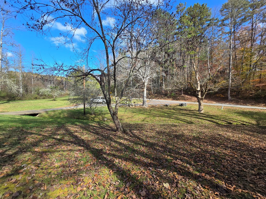 1556 Pleasant Valley Road Murphy, NC 28906 - Photo 47 of 51